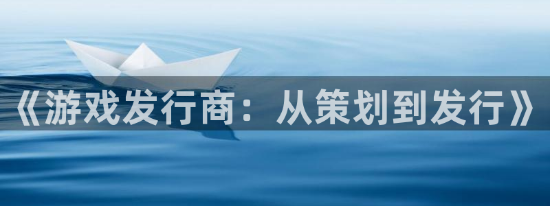 bg大游电子商务有限公司怎么样：《游戏发行商：从策划到发行》