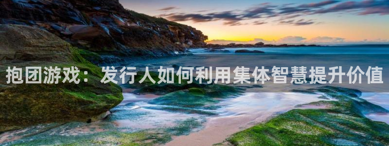 广东bg大游电子科技有限公司：抱团游戏：发行人如何利用集体智慧提升价值
