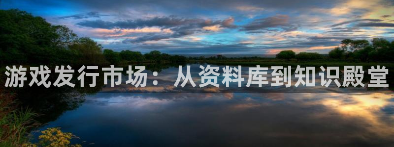 bg大游电子商务有限公司地址：游戏发行市场：从资料库到知识殿堂