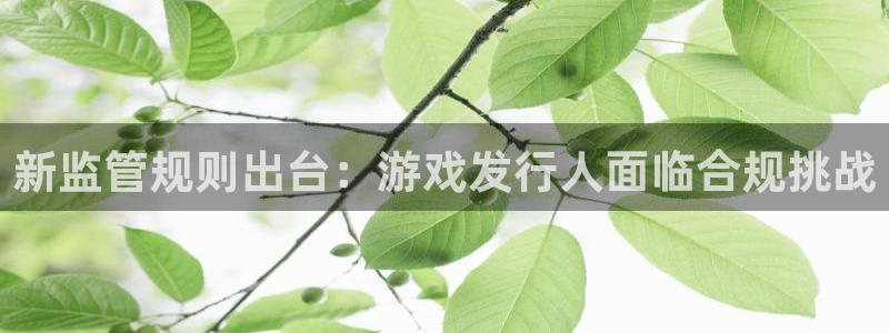 bg大游子财经丛书有哪些：新监管规则出台：游戏发行人面临合规挑战