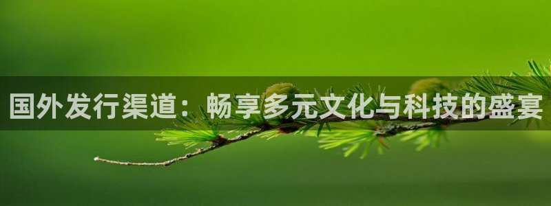 bg大游官网登录注册失败：国外发行渠道：畅享多元文化与科技的盛宴