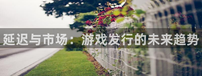bg大游子怎么来的：延迟与市场：游戏发行的未来趋势
