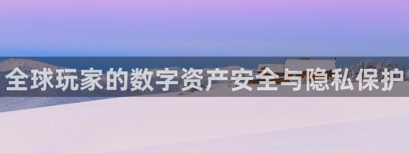 bg大游官网代理注册地址：全球玩家的数字资产安全与隐私保护