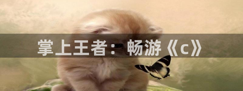 bg大游官网登录注册账号：掌上王者：畅游《c》