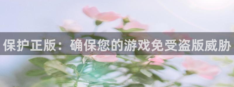 重庆bg大游子文化传播有限公司：保护正版：确保您的游戏免受盗版威胁