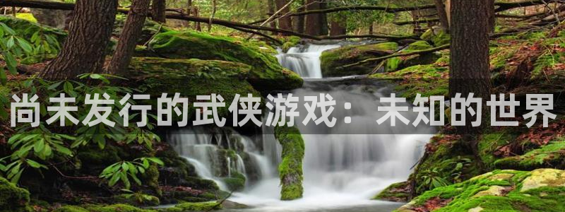 东莞bg大游信息科技有限公司