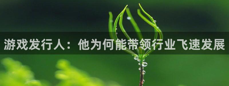 苏州bg大游网络科技有限公司